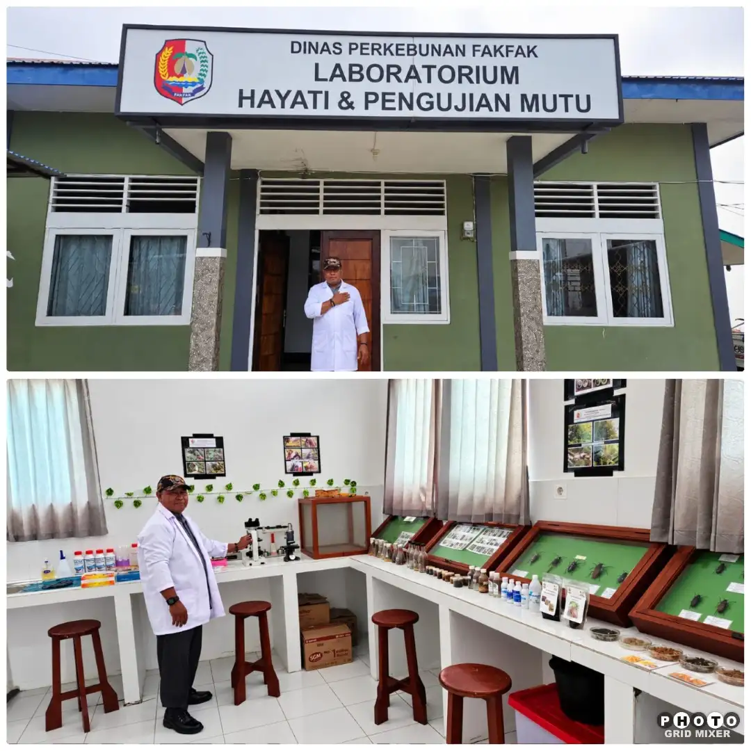 Dinas Perkebunan Fakfak Ajak Petani dan Gen Z Masuk Laboratorium Hayati, Kenali Ancaman bagi Pala Tomandin